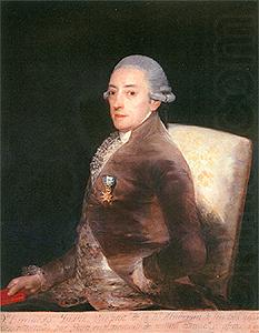 Portrait of don Bernardo de Iriarte y Nieves Ravelo, Francisco de Goya